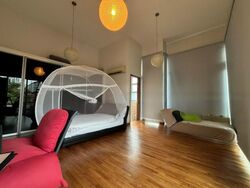 Sennett Avenue (D16), Semi-Detached #447340411